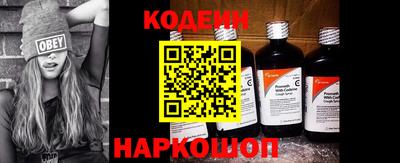 хмурый Кингисепп