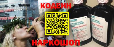 хмурый Кингисепп