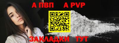хмурый Кингисепп