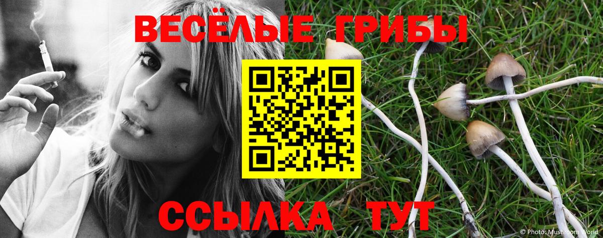 Галлюциногенные грибы мицелий  Псилоцибиновые грибы мицелий  Вход с VPN  Красноуфимск 